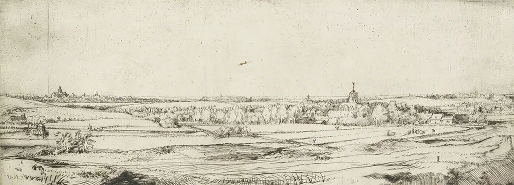 Goldweigher's Field in Detail Rembrandt